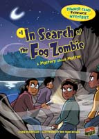 Cover Art for The Nighttime Cabin Thief: A Mystery About Light