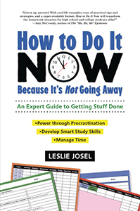 Cover Art for How to Do It Now Because It's Not Going Away: An Expert Guide to Getting Stuff Done