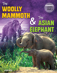 Cover Art for The Woolly Mammoth and the Asian Elephant
