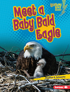Cover Art for Meet a Baby Bald Eagle