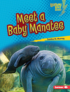 Cover Art for Meet a Baby Manatee