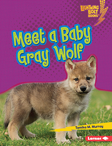 Cover Art for Meet a Baby Gray Wolf