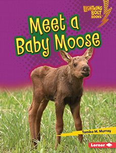 Cover Art for Meet a Baby Moose