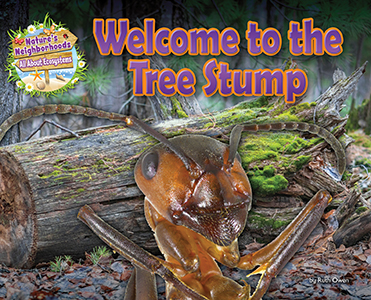 Cover Art for Welcome to the Tree Stump