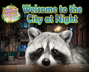 Cover Art for Welcome to the City at Night
