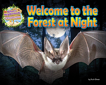 Cover Art for Welcome to the Forest at Night