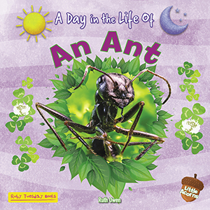 Cover Art for An Ant