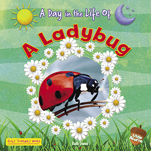 Cover Art for A Ladybug