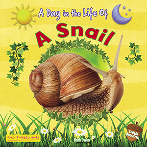 Cover Art for A Snail
