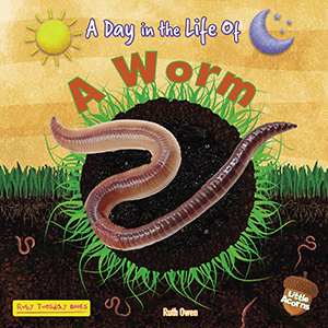 Cover Art for A Worm