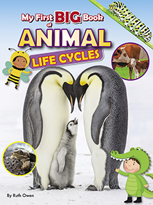 Cover Art for My First Big Book of Animal Life Cycles