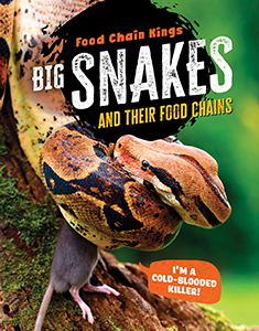 Cover Art for Big Snakes: and their food chains