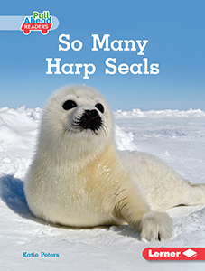 Cover Art for So Many Harp Seals