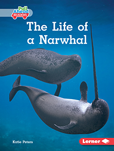 Cover Art for The Life of a Narwhal
