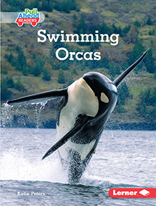 Cover Art for Swimming Orcas
