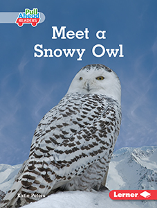 Cover Art for Meet a Snowy Owl