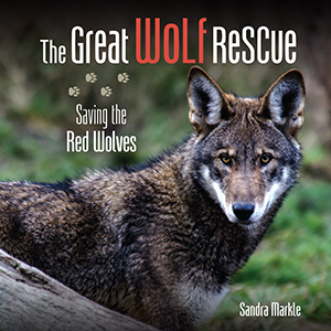 Cover Art for The Great Wolf Rescue: Saving the Red Wolves