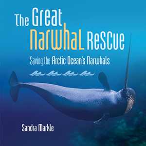 Cover Art for The Great Narwhal Rescue: Saving the Arctic Ocean's Narwhals