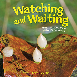 Cover Art for Watching and Waiting: What Hatches from Nature's Nurseries