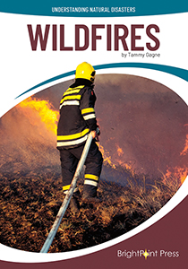 Cover Art for Wildfires