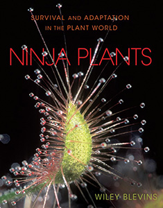 Cover Art for Ninja Plants: Survival and Adaptation in the Plant World