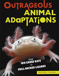 Cover Art for Outrageous Animal Adaptations: From Big-Eared Bats to Frill-Necked Lizards