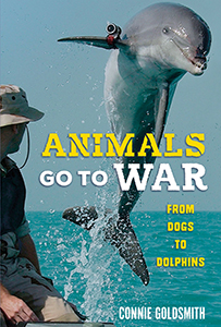 Cover Art for Animals Go to War