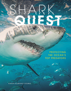 Cover Art for Shark Quest